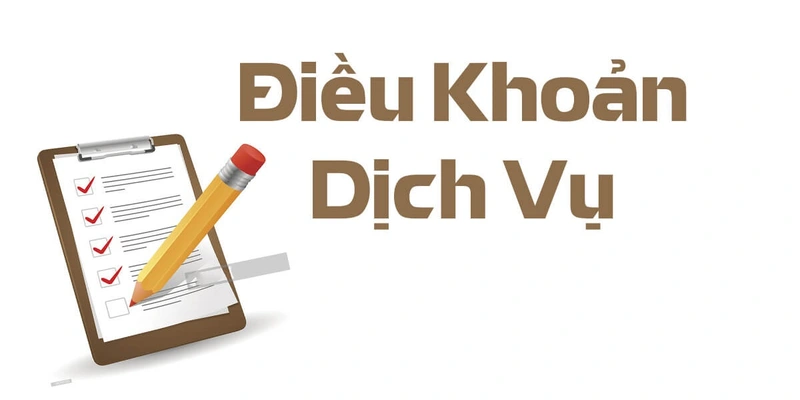 Nguyên nhân thiết lập điều khoản dịch vụ